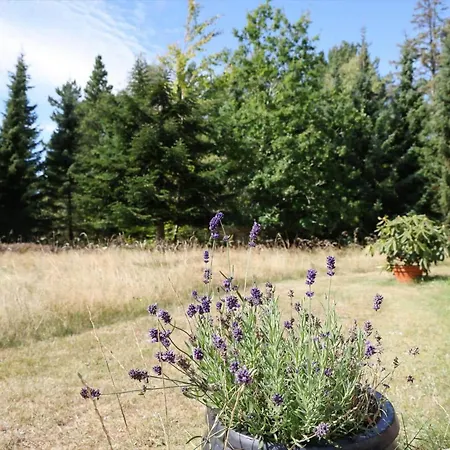 Prázdninový dům 13356-1-hojby-harpevej-32 *